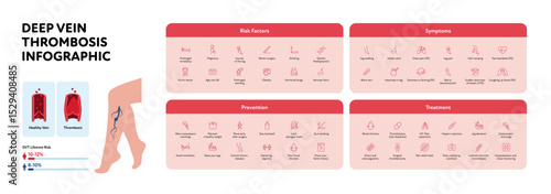 Deep vein thrombosis for healthcare infographic. Vector outline icon set illustration. Risk factor, symptoms, prevention and treatment of DVT. Gender probability and blood vessel chart.