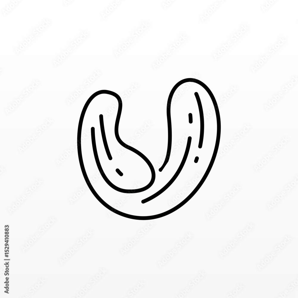 Obraz premium Nut logo design concept template
