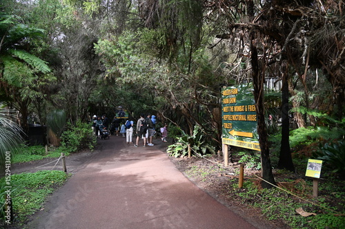 Whiteman, Australia – June 1, 2025: The Caversham Wildlife Park