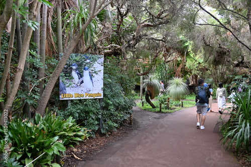 Whiteman, Australia – June 1, 2025: The Caversham Wildlife Park