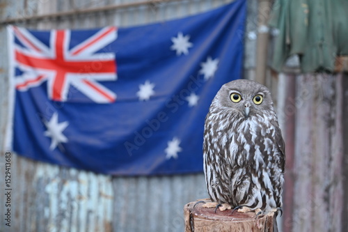 Whiteman, Australia – June 1, 2025: The Caversham Wildlife Park