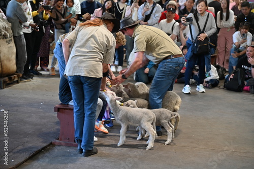 Whiteman, Australia – June 1, 2025: The Caversham Wildlife Park
