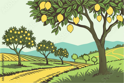 Vector Illustration of lemon cultivation