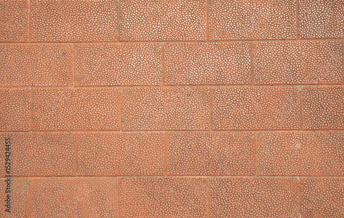 Decorative brown embossed street tiles with oval elements closeup