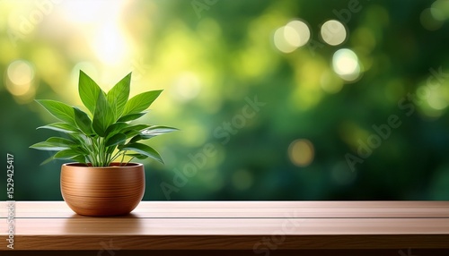 Wallpaper Mural an elegant green plant is featured in a wooden pot beautifully displayed on a table against a blurred green background enhancing the tranquility of any living space Torontodigital.ca