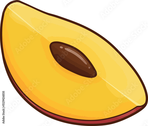 Fresh Slice of Sapodilla Fruit with Seed - Tropical Healthy Snack Illustration