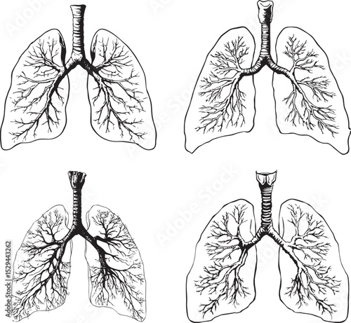 Human Lungs SVG Bundle