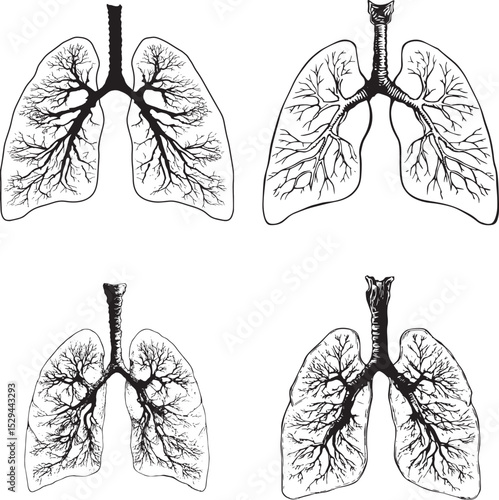 Human Lungs SVG Bundle