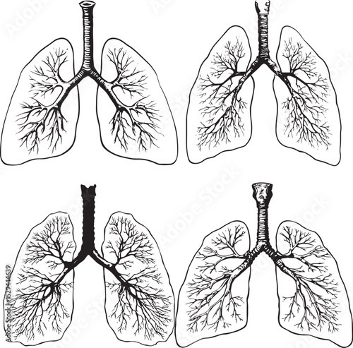 Human Lungs SVG Bundle