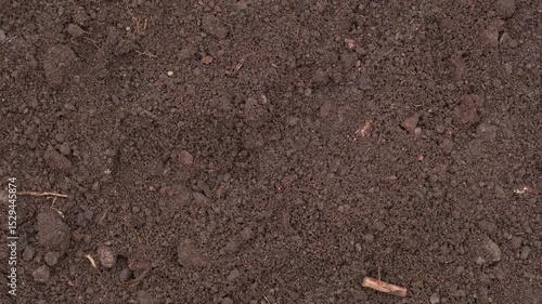 Fertile soil close-up. Richland in field. Black soil background. Natural ecological farming. Agricultural business. Humus, fertilized land. Bio agriculture and eco friendly cultivation. Rich land 4K
