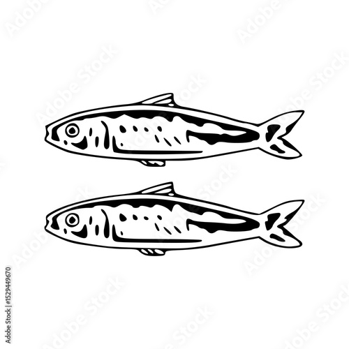 oceanic sardines fish drawing design