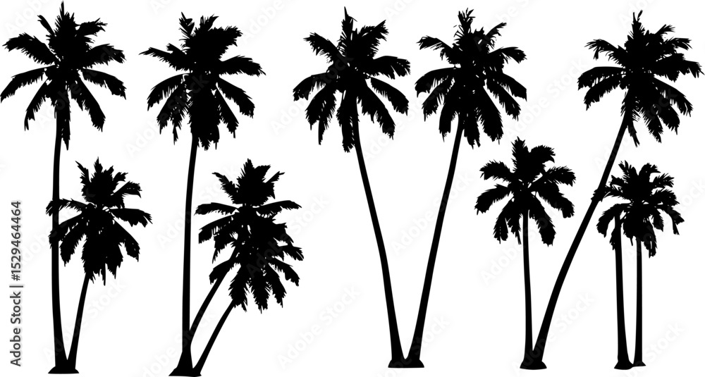 Fototapeta premium coconut palm trees 