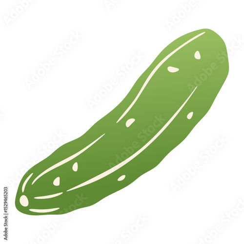 Green cucumber. Fresh pickle cucumber vegetable, organic farm food product, healthy vegetarian vegan diet nutrition, agriculture farm plant, salad cooking ingredient. Vector isolated illustration