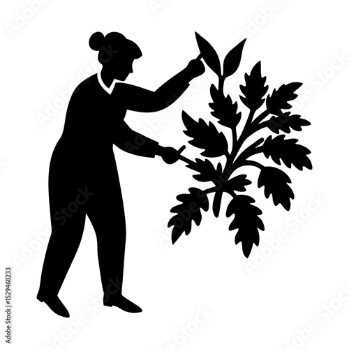 Silhouette woman pruning plant in garden