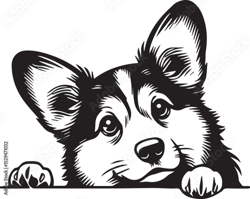 Print Peeking Corgi Dog - Cute Puppy Head