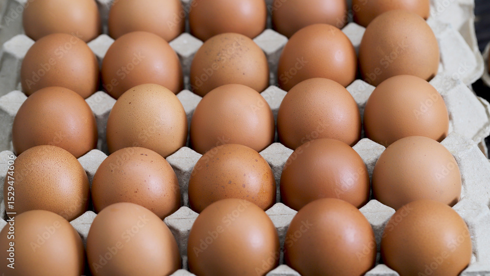 Fresh eggs from organic farms every morning Fresh eggs from organic farms every morning