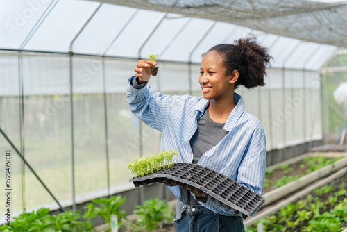 Young black woman working in a greenhouse, holding trays of seedlings to grow and care for greens. Farmers and students involved in sustainable agriculture.