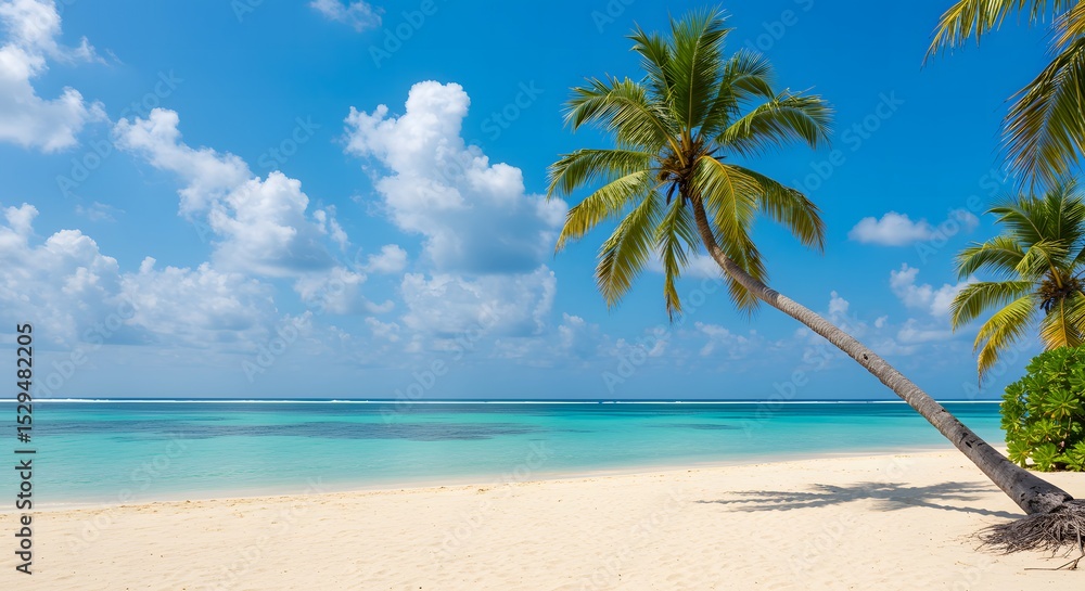 Fototapeta premium Peaceful beach with palm trees and sky