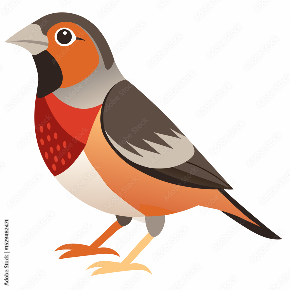 Obraz premium Detailed Vector Illustration of a Finch Bird on a Clean White Background Ideal for Various Design