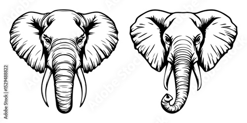 realistic elephant head line art vector