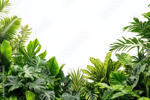 Lush green tropical foliage arrangement against bright background for design and decoration use cases.