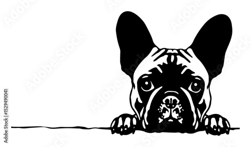 french bulldog head peeking vector illustration