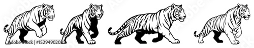 tiger walking pose vector silhouette set