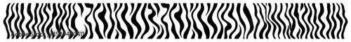 thin zebra stripe wavy pattern border design