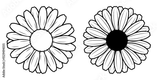 daisy flower illustrations in black and white style
