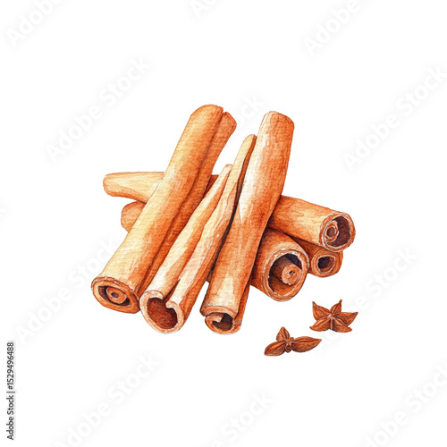 Watercolor Painting of Cinnamon Sticks and Star Anise