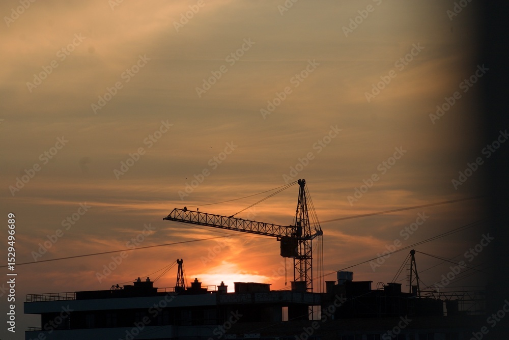 Fototapeta premium crane at sunset