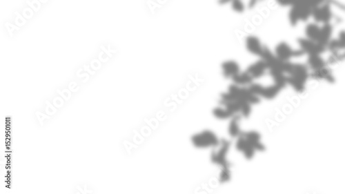 Elegant leaf shade design on transparent background. Natural blur silhouette of plants and foliage. Minimal layout for creative mockup and summer product templates.