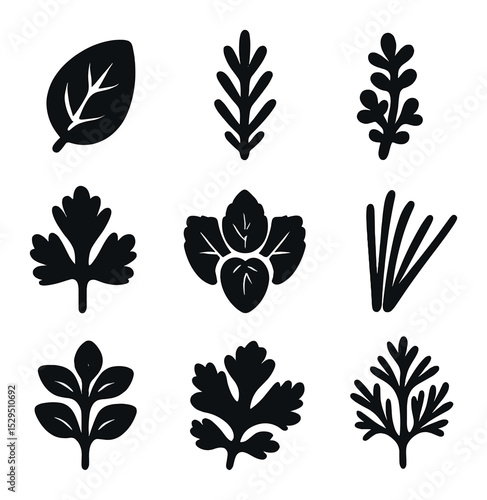 Culinary Herbs Icons. Solid, filled icons set of homegrown culinary herbs: basil leaf, rosemary icon, thyme