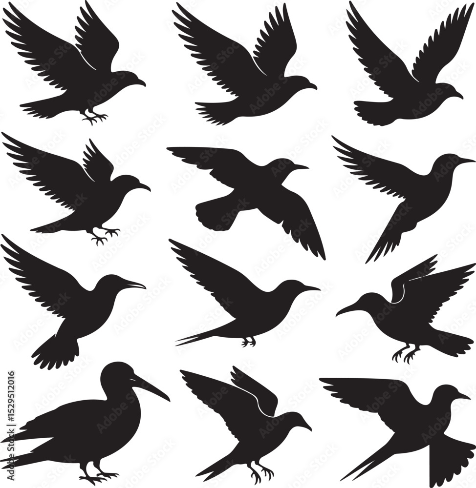 Fototapeta premium Bird Silhouettes Bundle – 10 Flying Birds in Side and Top Views – Eagle, Dove, Owl, Hawk, and More – Black on White Vector Set
