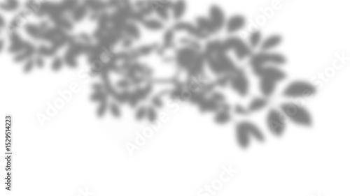 Leaf shadow silhouette on a clean transparent layer. Blurred branch decor elements. Eco overlay for artistic design, spring product mockup, and summer layout ideas.
