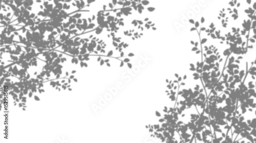 Natural leaf shade isolated on transparent background. Organic botanical overlay for spring product design, summer decoration, and minimalist display templates.