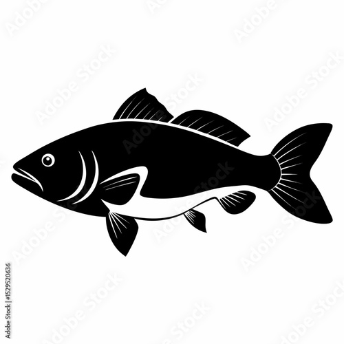 Barramundi fish silhouette on a white background vector illustration for design elements and creative projects