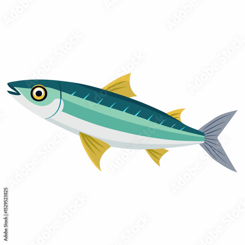 Vector illustration of anchovies on a white background featuring detailed textures and vibrant CMYK colors for