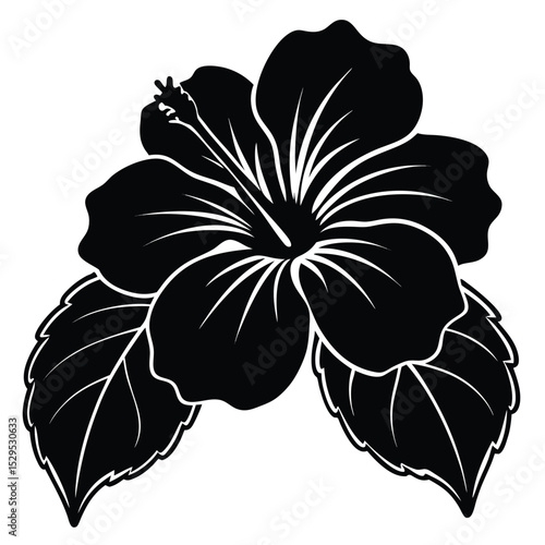 Black hibiscus flower with two detailed leaves offers tropical elegance and simple beauty