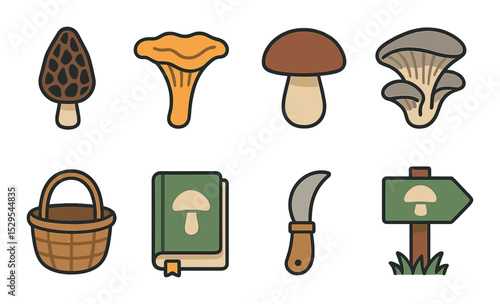 Edible Wild Mushrooms Concept isometric set. Morel icon, chanterelle fungi, boletus cap, oyster mushroom, forest harvest basket, ID guide book, forage
