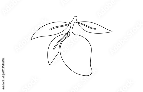 Continuous one line drawing of mango fruit with leaf. Mango fruit hand drawn single line art  Mango fruit hand drawn single line art.