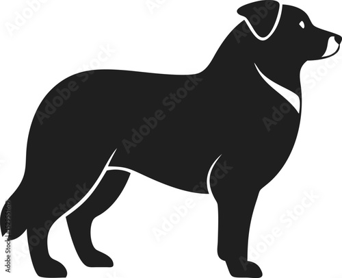 Australian Shepherd silhouette agile herding breed known for intelligence and loyalty