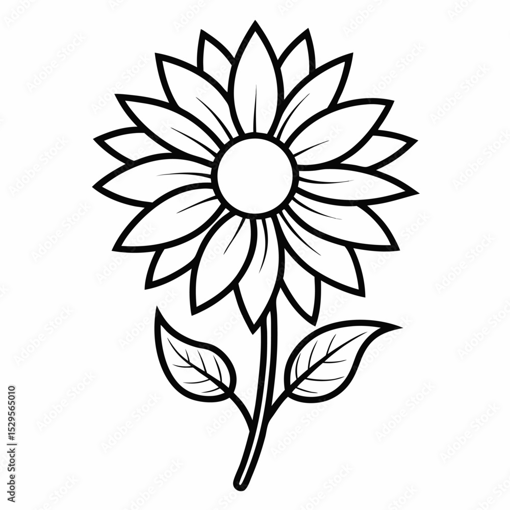 White and black sunflower White and black sunflower