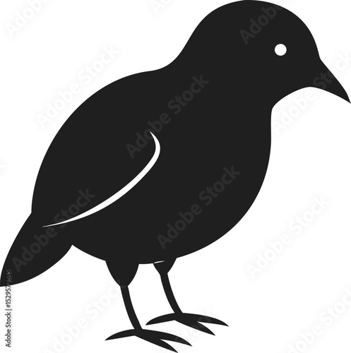 Kiwi bird silhouette unique flightless species known for its nocturnal habits and distinctive long beak