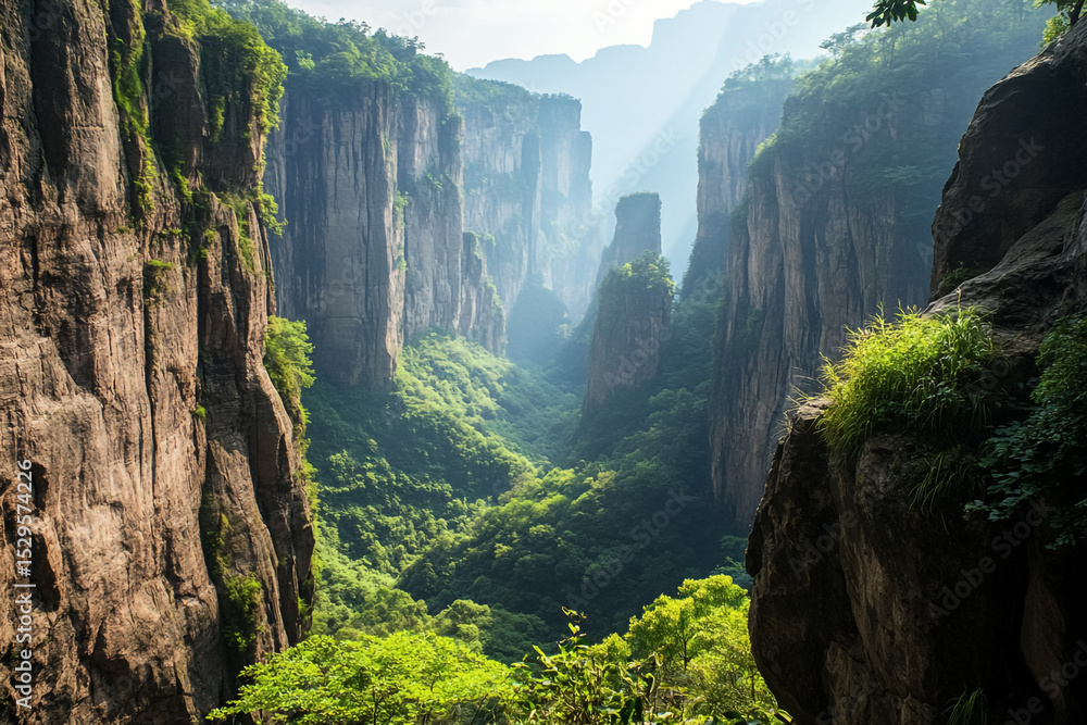 Fototapeta premium Verdant gorge in Wuyi Mountain featuring dramatic cliffs and dense vegetation
