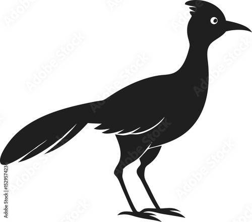 Roadrunner bird silhouette swift and agile species known for its speed and desert adaptability