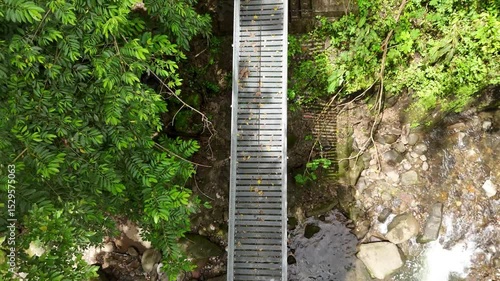  Aerial top-down view of people and dog on a hanging bridge over a lush green forest and rocky stream