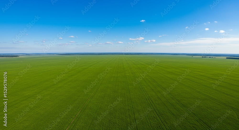 Obraz premium Expansive Green Field Under Blue Sky - Serene landscape, vast green field, clear blue sky, abundant growth, peaceful nature. Symbolizing growth, tranquility, abundance, nature, and renewal