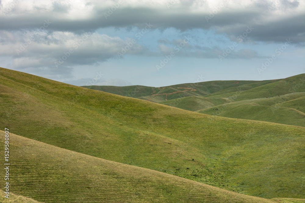 landscape with green grass and blue sky landscape with green grass and blue sky