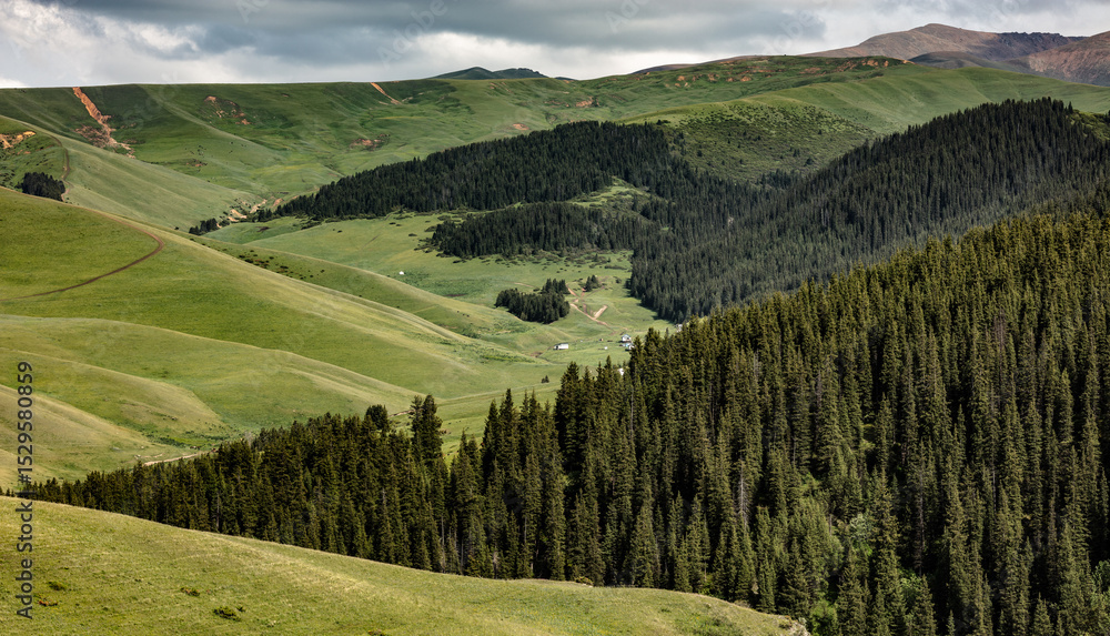 Obraz premium vineyard in the mountains